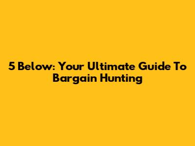 5 Below: Your Ultimate Guide To Bargain Hunting