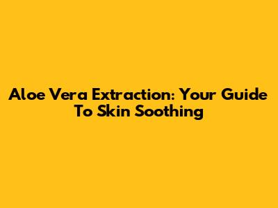 Aloe Vera Extraction: Your Guide To Skin Soothing
