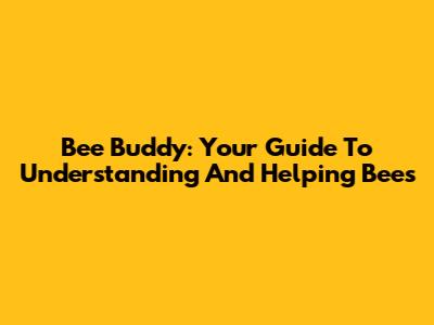 Bee Buddy: Your Guide To Understanding And Helping Bees