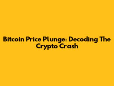 Bitcoin Price Plunge: Decoding The Crypto Crash