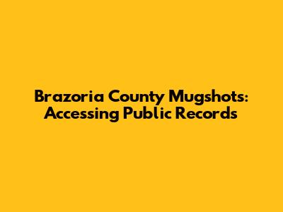 Brazoria County Mugshots: Accessing Public Records
