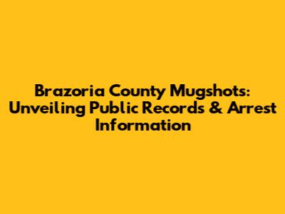 Brazoria County Mugshots: Unveiling Public Records & Arrest Information