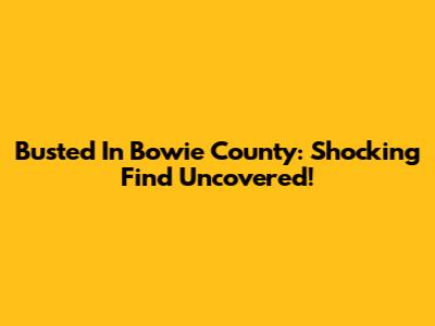 Busted In Bowie County: Shocking Find Uncovered!