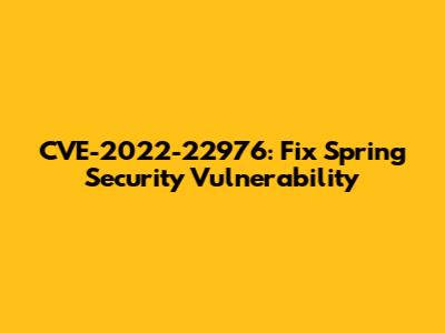 CVE-2022-22976: Fix Spring Security Vulnerability
