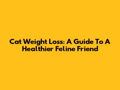 Cat Weight Loss: A Guide To A Healthier Feline Friend