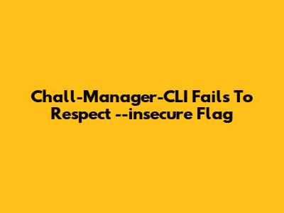 Chall-Manager-CLI Fails To Respect --insecure Flag