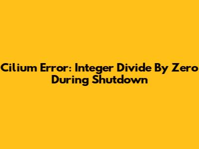 Cilium Error: Integer Divide By Zero During Shutdown