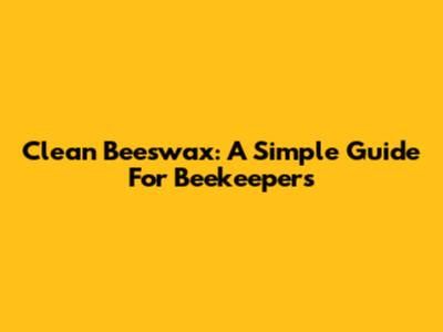 Clean Beeswax: A Simple Guide For Beekeepers