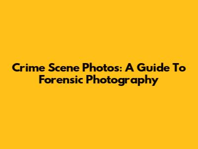 Crime Scene Photos: A Guide To Forensic Photography