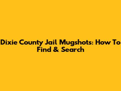 Dixie County Jail Mugshots: How To Find & Search