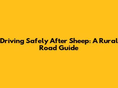 Driving Safely After Sheep: A Rural Road Guide
