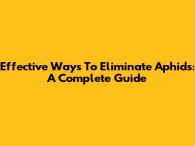 Effective Ways To Eliminate Aphids: A Complete Guide