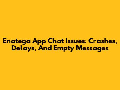 Enatega App Chat Issues: Crashes, Delays, And Empty Messages