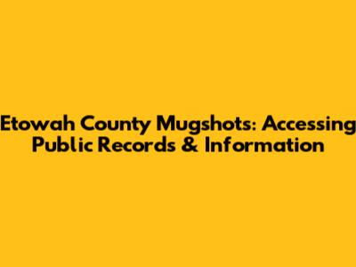 Etowah County Mugshots: Accessing Public Records & Information