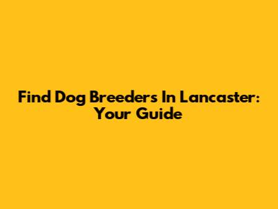 Find Dog Breeders In Lancaster: Your Guide