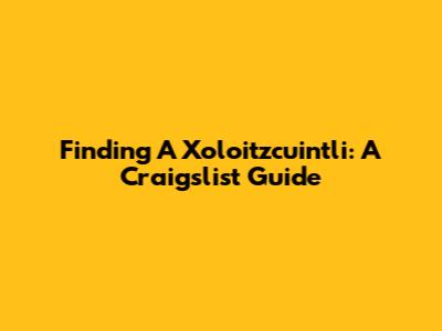 Finding A Xoloitzcuintli: A Craigslist Guide