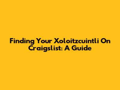 Finding Your Xoloitzcuintli On Craigslist: A Guide