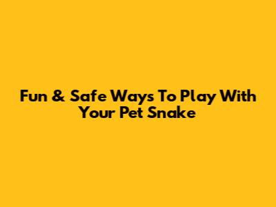 Fun & Safe Ways To Play With Your Pet Snake