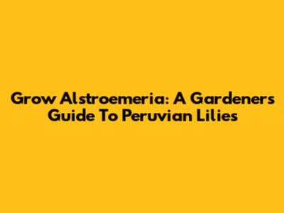 Grow Alstroemeria: A Gardener's Guide To Peruvian Lilies