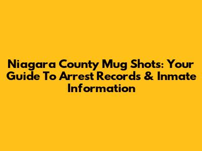 Niagara County Mug Shots: Your Guide To Arrest Records & Inmate Information