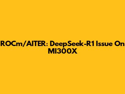 ROCm/AITER: DeepSeek-R1 Issue On MI300X