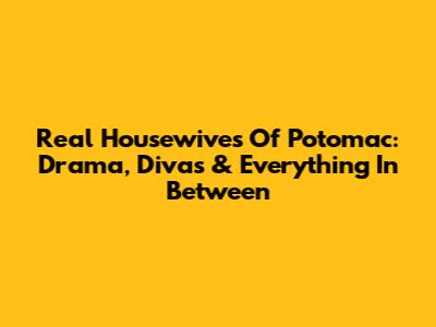Real Housewives Of Potomac: Drama, Divas & Everything In Between