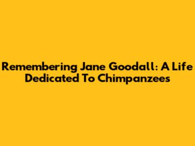 Remembering Jane Goodall: A Life Dedicated To Chimpanzees