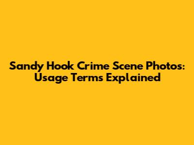Sandy Hook Crime Scene Photos: Usage Terms Explained