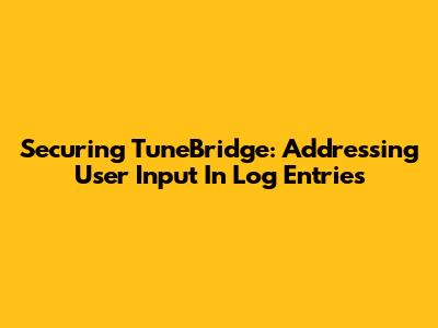 Securing TuneBridge: Addressing User Input In Log Entries
