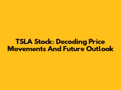 TSLA Stock: Decoding Price Movements And Future Outlook