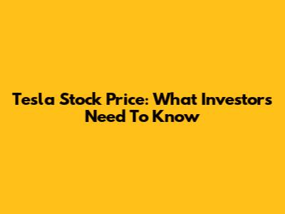 Tesla Stock Price: What Investors Need To Know